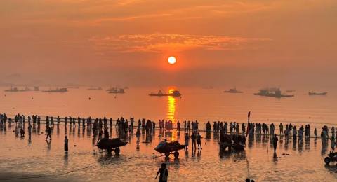 金銮湾