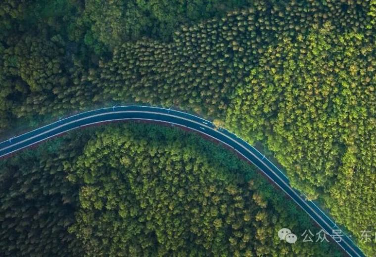 金秋必去！东山岛这些「宝藏公路」的风景，每帧都是秋日壁纸！