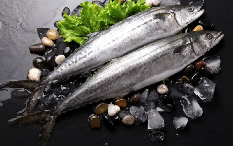 640.webp (1) 640.webp (1)