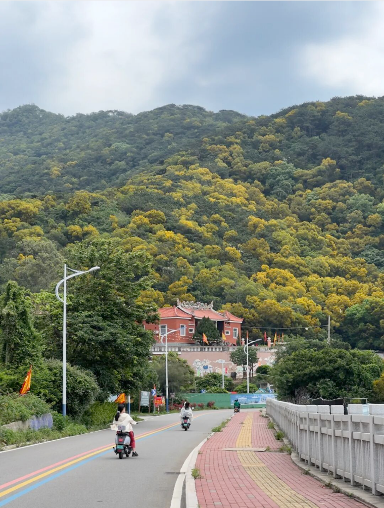 微信图片_2026-02-27_152907_573 微信图片_2026-02-27_152907_573