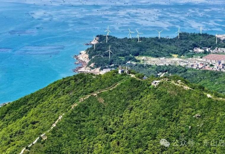 口水直流！东山岛的春天也太太太好吃了！