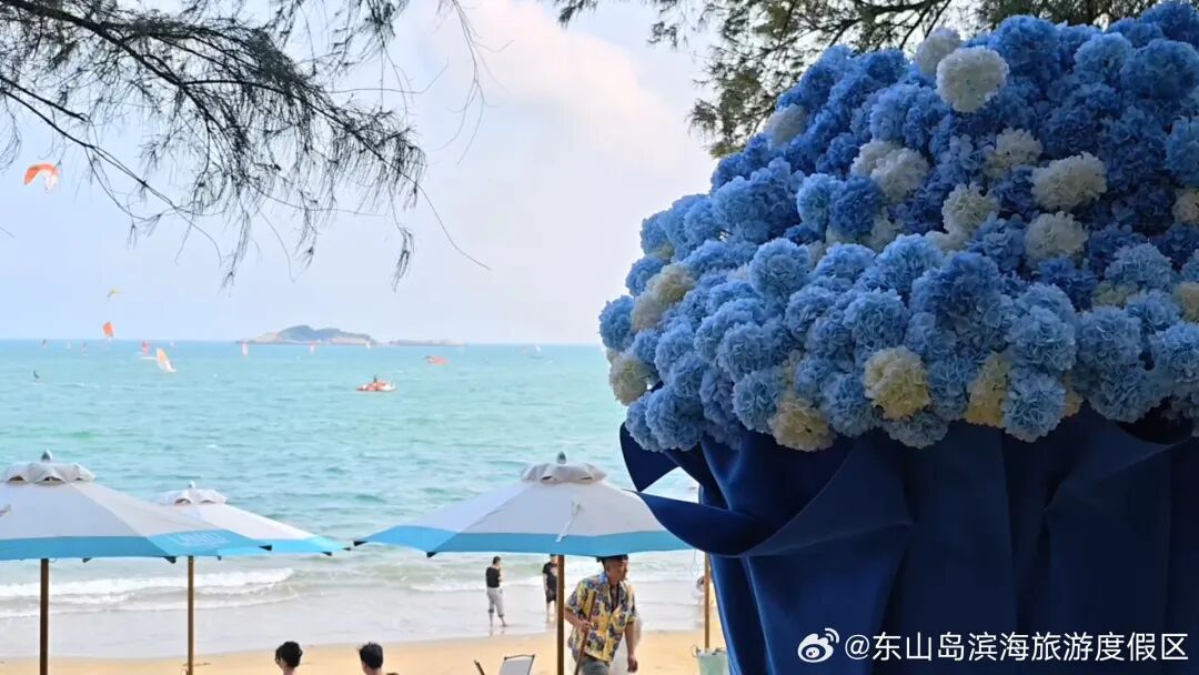 一眼心动！初夏的东山岛，每一帧都是人间理想！