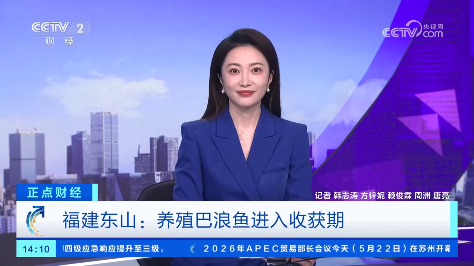 东山岛又上央视！这条养殖比野生好吃的鱼，你吃过没？